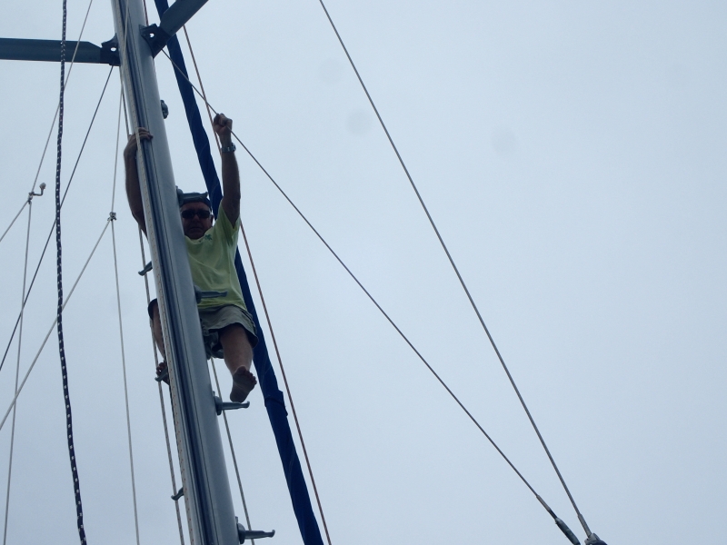 UP THE MAST 2