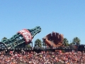 Glove & Coke bottle.jpg