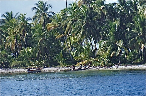 Canoes on beach.jpeg