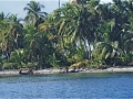 WITH CANOE ON BEACH