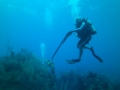 Spearing a fish
