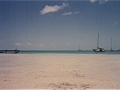 Scan 134.jpeg